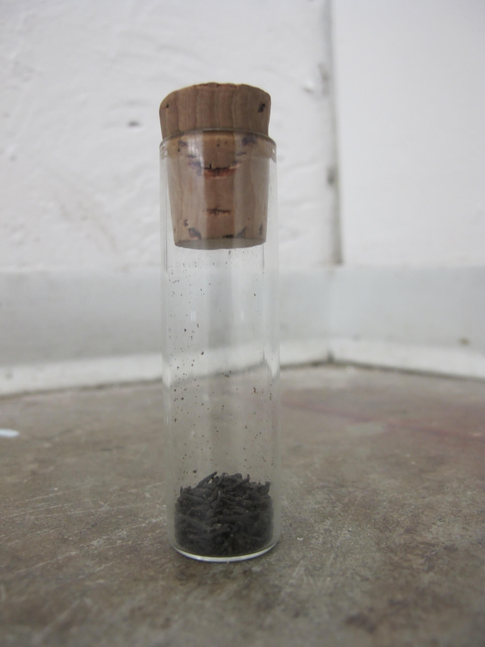 Sculpture 'Idleness' by Nevada Hardman. A collection of human biological remnants sealed in vials.